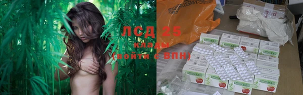 шишки Абинск