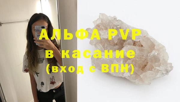 шишки Абинск