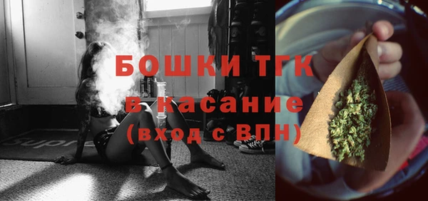 шишки Абинск