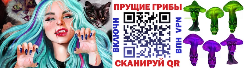 Псилоцибиновые грибы мухоморы  Курчатов 